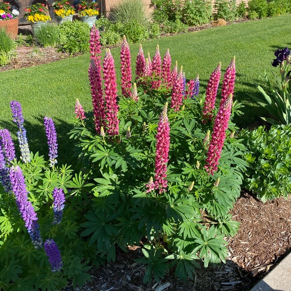 Follow my BFF @cgriffin97 - Picture 2 of 6